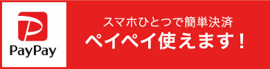 ペイペイ使えます